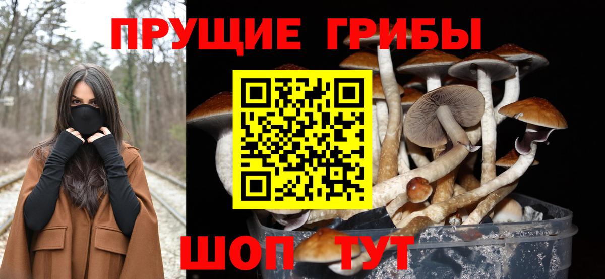 Белая Калитва  Галлюциногенные грибы MAGIC MUSHROOMS  Вход с VPN 
