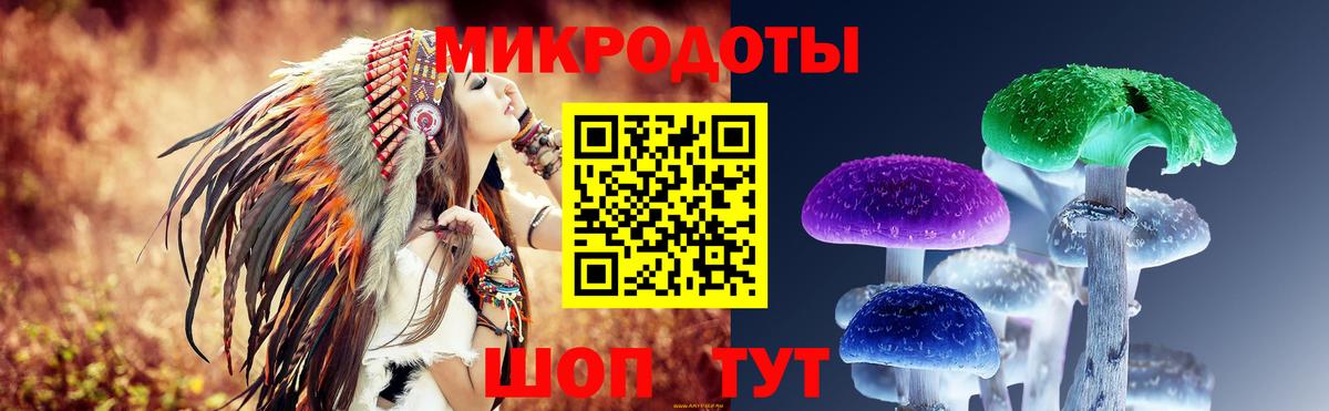 Галлюциногенные грибы Psilocybine cubensis Белая Калитва